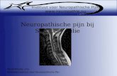 Instituut voor Neuropathische Pijn  Neuropathische pijn bij Syringomyelie David Kopsky, arts Behandelcentrum voor Neuropathische Pijn.