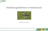 Weidevogelbeheer in Nederland Freek van Leeuwen. Inhoud •Agrarisch natuurbeheer •Weidevogelbeheer •Pakketten in Nederland •Agrarische natuurverenigingen.