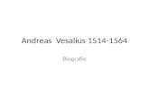 Andreas Vesalius 1514-1564 Biografie. Andreas ontleed een lichaam.