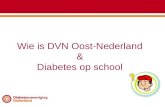 Wie is DVN Oost-Nederland & Diabetes op school. Oost-Nederland.