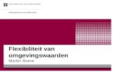 Flexibiliteit van omgevingswaarden Marlon Boeve ACELS/Centrum voor Milieurecht.
