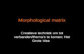 Morphological matrix Creatieve techniek om tot verbanden/thema’s te komen: Het Grote Idee.