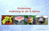 Ordening: Indeling in de 4 rijken © Biologiepagina.nl.