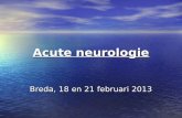 Acute neurologie Breda, 18 en 21 februari 2013. RICHTLIJN OPVANG VAN PATIËNTEN MET LICHT TRAUMATISCH HOOFD/HERSENLETSEL Initiatief: Nederlandse Vereniging.