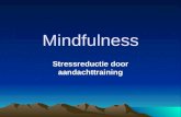 Mindfulness Stressreductie door aandachttraining