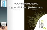 VOORBEHANDELING Lignocellulos e rijke biomassa Han Vervaeren Bart Ryckaert.