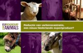 Reductie van varkenscastratie, een nieuw Nederlands exportproduct?