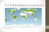 P 3.2 Kwetsbaar ecosysteem Veranderde landschapsvormen & Duurzame ontwikkeling in en rond de Middellandse Zee.