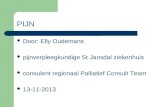 PIJN  Door: Elly Oudemans  pijnverpleegkundige St Jansdal ziekenhuis  consulent regionaal Palliatief Consult Team  13-11-2013.