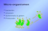 Micro-organismen  bacteriën  virussen  Schimmels & gisten  Protozoën.