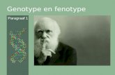 Genotype en fenotype Paragraaf 1. Fenotype en genotype •De zichtbare (ook wel uiterlijke) kenmerken (eigenschappen) van een organisme noemen we het fenotype.