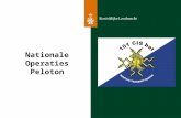 NationaleOperatiesPeloton. Koninklijke Landmacht Onderwerpen - Taak NATOPS Peloton - Middelen NATOPS Peloton - Mogelijkheden NATOPS Peloton - Ervaringen.
