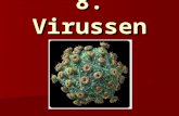 8. Virussen. Bouw  Slechts met elektronenmicroscoop te zien  Grootte: 10 - 400nm Foto van herpes simplexvirus met elektronenmicroscoop.