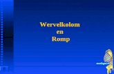 Wervelkolom en Romp. MENU Wervelkolom en Romp: Inleiding en vorm van de wervelkolom Inleiding en vorm van de wervelkolom Bouw van de wervels Bouw van.