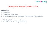 Uitwerking Megaworkshop 13 juni 3 thema’s: 1.Voorveld 2.Specialistische zorg 3.Continueren en vernieuwen, het systeem/financiering • Sturingskader en schaalkeuzes.