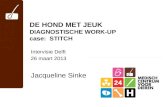 DE HOND MET JEUK DIAGNOSTISCHE WORK-UP case: STITCH Intervisie Delft 26 maart 2013 Jacqueline Sinke.