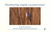 Monitoring vogels Lauwersmeer Maja Roodbergen SOVON Vogelonderzoek Nederland.
