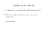 Eiwit electroforese •M proteine (monoclonaal eiwit, paraproteine) •Eiwit in urine (filtratiemarker, locatie nier probleem) •Iso-enzymen.