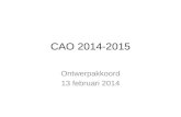 CAO 2014-2015 Ontwerpakkoord 13 februari 2014. 4 Luiken •Tewerkstelling •Koopkracht •Werkzekerheid •Algemene punten.