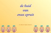 De huid van onze spruit Dr. Hilde De Veylder (Huidarts)