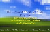 De Bouwstenen van de Psyche Van categorieel naar multidimensioneel denken in de psychiatrie Dr. Rutger Goekoop, MD PhD, resident in psychiatry, Parnassia,