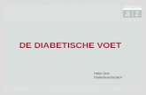 DE DIABETISCHE VOET Helin Dirk Diabeteseducator. DE DIABETISCHE VOET = verzamelnaam van voetafwijkingen en letsels tgv metabole stoornissen bij de diabetes