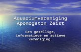 Aquariumvereniging Aponogeton Zeist Een gezellige, informatieve en actieve vereniging.