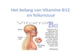 Het belang van Vitamine B12 en foliumzuur. VOOR WIE GOED ? • In wezen voor iedereen ! • In de eerste plaats voor vegetariërs, veganisten, diabetici (zeker.