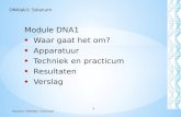 Module DNA1 • Waar gaat het om? • Apparatuur • Techniek en practicum • Resultaten • Verslag Module: DNAlab1 Solanum 1 DNAlab1: Solanum.
