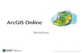 ArcGIS Online Workshop 1 V-ICT-OR – Nelles Scholiers – 18/12/2012.