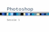 Photoshop Sessie 1. Na deze eerste sessie…  Basiskennis digitale Photografie  Postkaarten ontwikkelen  Collages maken  …  Gelanceerd!