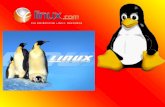 Wel om het kort uit te leggen. Linux is ook een besturingssysteem zoals Windows of Linux alleen dat je dit zelf in elkaar moet knutselen. Wat dat.