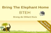 Bring The Elephant Home Breng de Olifant thuis BTEH.