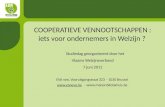 COOPERATIEVE VENNOOTSCHAPPEN : iets voor ondernemers in Welzijn ? Studiedag georganiseerd door het Vlaams Welzijnsverbond 7 juni 2011 EVA vzw, Vooruitgangstraat.