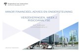 MINOR FINANCIEEL ADVIES EN ONDERSTEUNING VERZEKERINGEN, WEEK 2 RISICOANALYSE W.H. Korthouwer w.h.korthouwer@hva.nl 1.