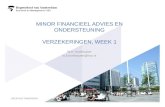MINOR FINANCIEEL ADVIES EN ONDERSTEUNING VERZEKERINGEN, WEEK 1 W.H. Korthouwer w.h.korthouwer@hva.nl 1.
