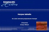 Herpes labialis En orale antivirale profylactische therapie J.Nouwens Groep 309113.
