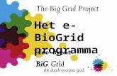 Het e-BioGrid programma Timo Breit. Achtergrond info • Start: Eind 2010 • Opstart:Gedurende 2011 • Einde: 31 december 2012 • Budget: 2 miljoen euro •