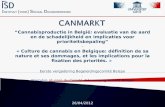 “Cannabisproductie in België: evaluatie van de aard en de schadelijkheid en implicaties voor prioriteitsbepaling” - « Culture de cannabis en Belgique: