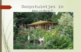 Dorpstuintjes in Heusden?. Wat?  Volkstuin = Samentuin = Dorpstuin  Een ruimte waar burgers op 1 locatie een groentetuin op een ecologische wijze bewerken.