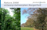 Natura 2000 ontwerp-beheerplan Norgerholt. Overzicht â€¢Introductie â€¢Natura 2000: Europese natuurgebieden â€¢Aanwijzingsprocedure â€¢Opstellen beheerplan 2008