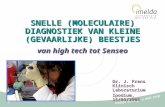 1 SNELLE (MOLECULAIRE) DIAGNOSTIEK VAN KLEINE (GEVAARLIJKE) BEESTJES Dr. J. Frans Klinisch Laboratorium Ipodium, 15/03/2008 van high tech tot Senseo.