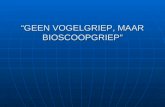 “GEEN VOGELGRIEP, MAAR BIOSCOOPGRIEP”.  “Bioscopen hebben het zwaar”  “Bioscoopjaar begint dramatisch slecht” slecht”  “Bioscoopbezoek in vrije val”