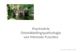 Psychiatrie Ontwikkelingspathologie van Mentale Functies 22 juni 2013 Imelda - 10x10.