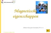 behoort bij open leertaak OT 6.3.1 © friesland college 1999 Magnetische eigenschappen.
