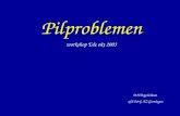 Pilproblemen workshop Ede okt 2003 D.H.Bogchelman afd O&G AZ Groningen.