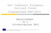 Het Federaal Europees Sociaal Fonds Programmatie 2007-2013 PROJECTOPROEP – As 1 – Uitvoeringsjaar 2012 Programmatorische overheidsdienst maatschappelijke