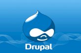 Wat is Drupal? Drupal…. is een content management systeem (CMS) waarmee iedereen een eigen website kan maken en onderhouden Definitie CMS: Een content-beheersysteem.