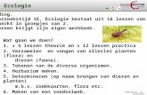 © 2009 Biosoft TCC - Lyceumstraat Ecologie Wat gaan we doen? 1. ± 5 lessen theorie en ± 12 lessen practica 2. Verzamelen en vangen van allerlei planten.