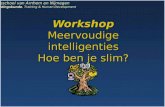 Workshop Meervoudige intelligenties Hoe ben je slim? 2011 Hogeschool van Arnhem en Nijmegen Opleidingskunde, Training & Human Development.